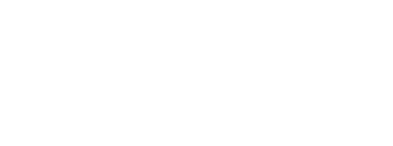 olan consulting logo white
